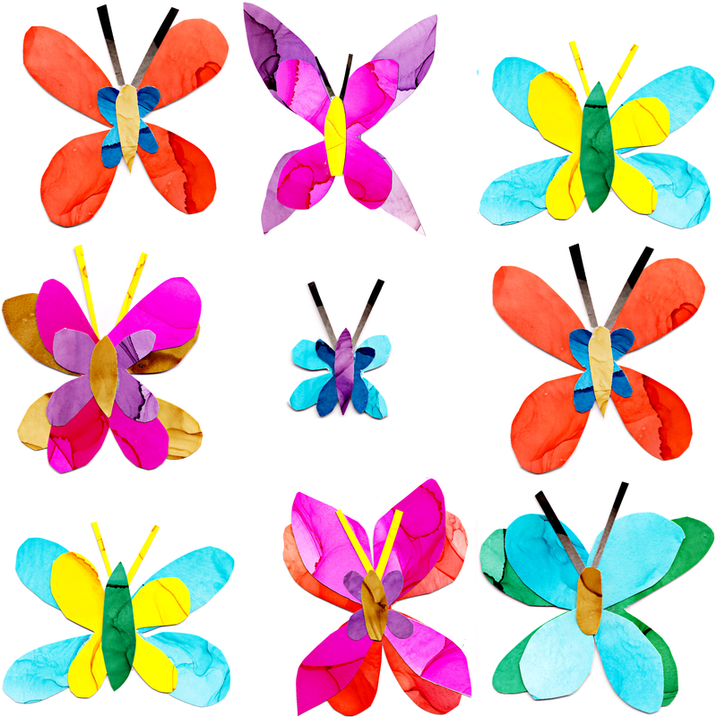 colorful butterfly art print
